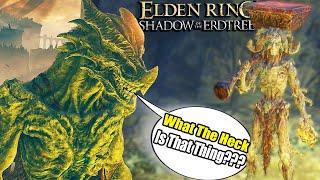 NEW Dragon Form & THE FINAL AREA - Elden Ring Shadow Of The Erdtree Gameplay Part 15