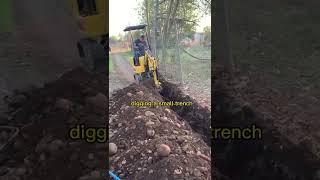 Use the RIPPA R319 mini excavator to dig a small trench.