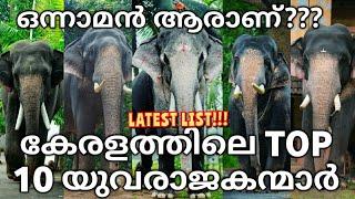 ഇവരിൽ രാജാവ് ആരാണ്?? TOP 10 YOUNG ELEPHANTS KERALA #keralaelephant 2024