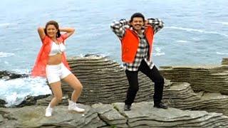 Venkatesh Laila Superhit Video Song  Guma Guma Lade America Andam Song  Pelli Chesukundam Songs