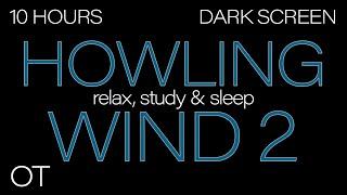 HOWLING WIND Sounds for Sleeping 2  Relax Study  BLACK SCREEN Real Storm Sounds SLEEP SOUNDS