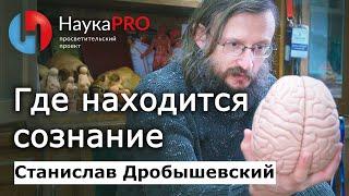 Где находится сознание? – Станислав Дробышевский  Лекции по антропологии  Научпоп