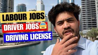 Labour And Driver Jobd in Dubai 2024  Driving Licence #naddyvlogs #naddlogs #naddy #dubaijobs