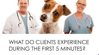 What do your veterinary clients experience during the first 5 minutes?