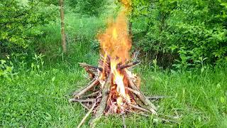  Campfire in a Spring Forest  Natural Ambience & Crackling Sounds