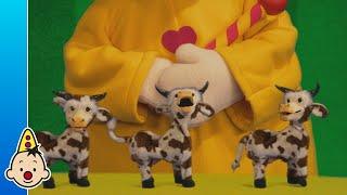 De zingende koeien - Bumba  Aflevering