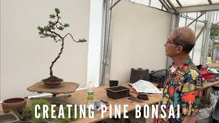 Creating Pine Bonsai