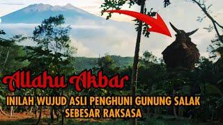 EPS 1.BUKAN DONGENG INI RAKSASA GUNUNG SALAK MENAMPAKAN DIRI. EXPLORASI TERSERAM GUNUNG SALAK