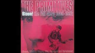 The Primitives - Crash Live