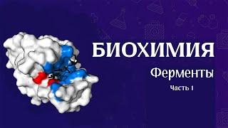 Биохимия  Ферменты часть 1