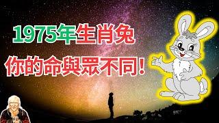 1975年的屬兔人，2024年運勢，你真想不到！這是屬於你自己的運程，快看你的與眾不同！ #2024年生肖兔運勢 #2024生肖兔運程 #生肖兔2024 #屬兔人2024年運程 #屬兔人2024年運勢