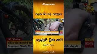 කලක සිට කළ සෙල්ලම ලෙල්ලම වුණ හැටි- Hiru News