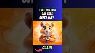 free ton coin gas fees giveaway  #toncoin #hamsterkombat #crypto