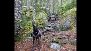 Backpacking Maines 100 mile Wilderness end to end