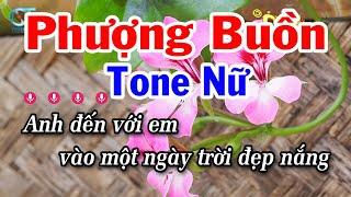 Karaoke Phượng Buồn Tone Nữ  C  Nhạc Sống Tuấn Cò Mới Nhất