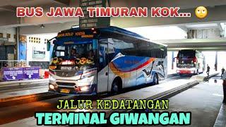 PELARI Jawa Timuran kok.... JAM PAGI di Jalur KEDATANGAN Terminal GIWANGANSugeng RahayuSinjay