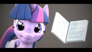 SFM Book