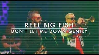 Reel Big Fish - Dont Let Me Down Gently Visualizer