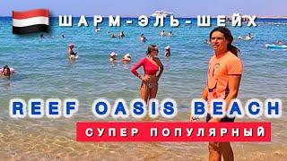 REEF OASIS BEACH RESORT  SENTIDO  Свежий обзор  Самый полный обзор 2024 