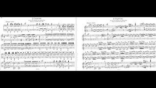 Rossini-Schoenberg - Il barbiere di Siviglia Largo al factotum - Duo Solot Piano