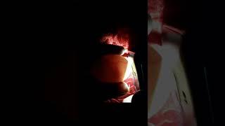 CANDLING CHICKEN EGGS DAY 14 #Viral #Shorts