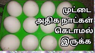 முட்டை அதிக நாட்கள் கெடாமல் இருக்க  How to store eggs for long terms  Egg 