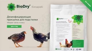 BioDry Биодрай - для птиц