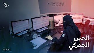 المرأة السعودية في المنافذ الحدودية