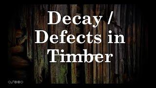 BMCP Decay  defects  of timber