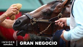 Cómo se Cría a los Caballos para Ganar el Derby de Kentucky®  Gran Negocio  Insider Español