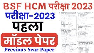 BSF Head Constable Ministerial 2023  Model Paper  BSF HCM & ASI Hindi imp Question