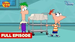 Phineas and Ferb  Jerk De Soleil  Episode 8  Hindi  Disney India