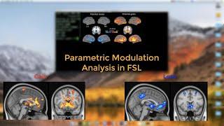 Parametric Modulation in FSL