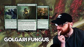 DONT DISRESPECT SHELLY RAMP  Golgari Fungus  Duskmourn Standard Bo3  Mythic Rank  MTG Arena