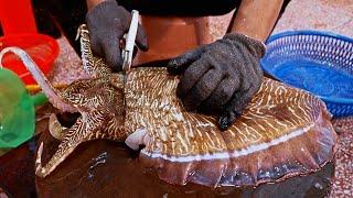 Amazing！Cutting Huge Cuttlefish at Taiwanese Seafood Market驚人的港口巨大花枝 墨魚切割技-台灣海鮮-Taiwanese Seafood