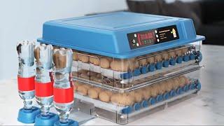 Идея для подарка . Автоматический инкубатор для яиц   купить по выгодной цене . Алиэкспресс.