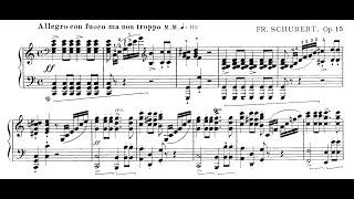 Schubert & Liszt -Wanderer Fantasy S. 565a - György Oravecz Piano