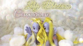 Сравнение Лили Блоссом  Lily Blossom Comparison  ФОНД ЗАЩИТЫ БЮДЖЕТНЫХ ПОНИ