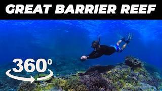 360 Video - Under the Surface - Great Barrier Reef Australia