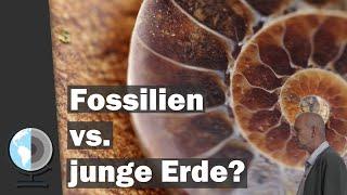 Fossilien vs. Junge Erde? Erdgeschichte im Zeitraffer  Rehe 2023  Dr. S. Drüeke