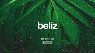 FREE  Beliz  Swae Lee x Burna Boy x Rema Type Beat  Free Beat  Dancehall Instrumental 2024