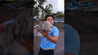 CARA NANGKAP IKAN BESAR DI LAUT BESTIER