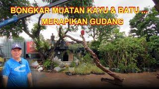 BONGKAR MUATAN KAYU & BATU .... MERAPIKAN GUDANG