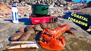 COASTAL FORAGING - Big Lobster  Razor Clams Abalone  Crabs & Flatfish - Beach COOKING 