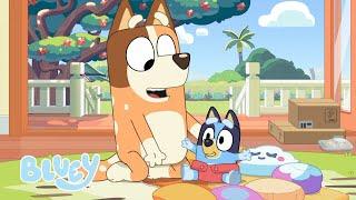 É uma corrida de bebês  Episódio completo  Bluey Português Brasil Canal Oficial