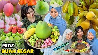 Panen buah-buahan dikebun  Bikin rujak buah segar