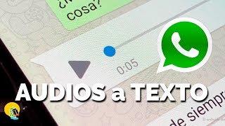 Convierte los AUDIOS EN TEXTO en WHATSAPP - ANDROID y IPHONE