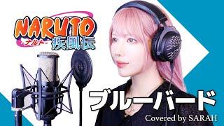 【NARUTO -ナルト- 疾風伝】いきものがかり - ブルーバード SARAH cover  NARUTO Shippuden OP3 Blue Bird