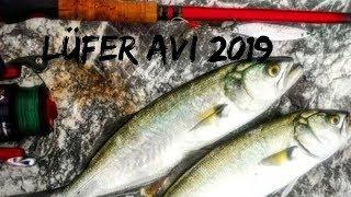 KIYIDAN LÜFER AVI -2019 BALIK AVI  -BLUEFİSH HUNTİNG FİSHİNG