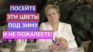 ДОЛГОЖДАННЫЙ РОЛИК КАКИЕ ЦВЕТЫ МОЖНО ПОСЕЯТЬ ПОД ЗИМУ